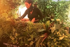 Seven Worlds, One Planet living wall