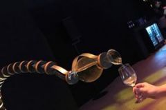 The Bonic Bar